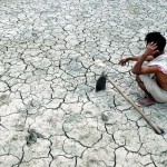 Thousands of Indian farmers are committing suicide ever year